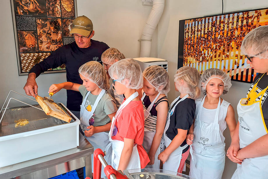 Schülerinnen und Schüler der Internationalen Oberschule Meerane  lernen in einer mobilen Imkerei, wie Honig hergestellt wird